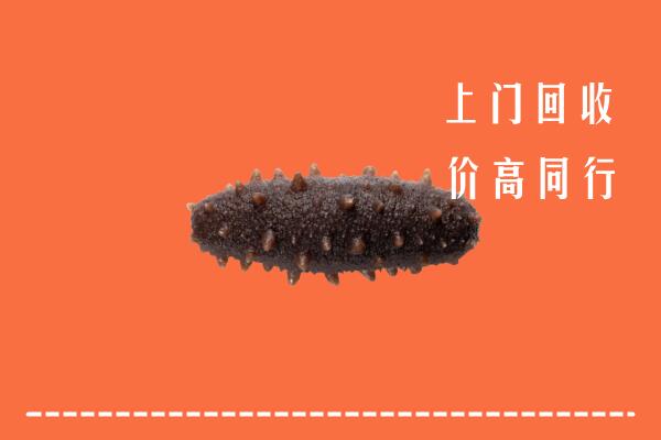 荆州市江陵回收海参